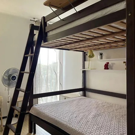 2 Pieces Climatise Avec Terrasse - - Fr-1-225c-110 Apartment Banyuls-sur-Mer